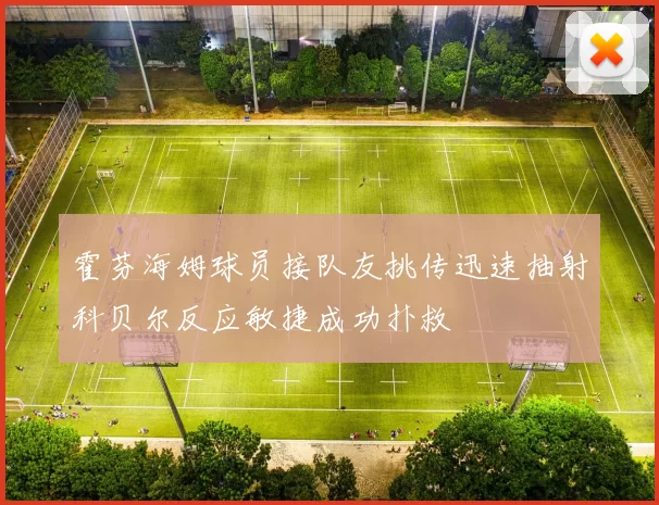 霍芬海姆球员接队友挑传迅速抽射科贝尔反应敏捷成功扑救